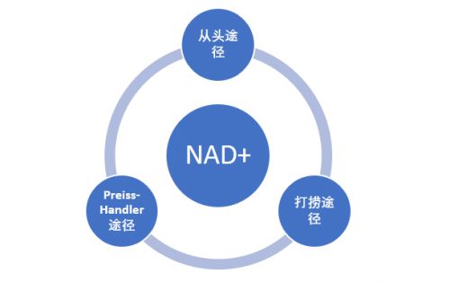 三招教您選購(gòu)NAD ,消費(fèi)者避坑指南